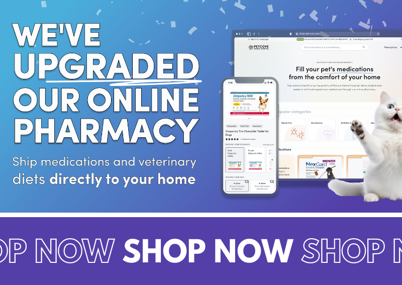 Carousel Slide 1: Shop Online Pharmacy >
